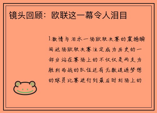 镜头回顾：欧联这一幕令人泪目